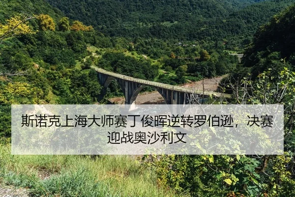 si-nuo-ke-shang-hai-da-shi-sai-ding-jun-hui-ni-zhuan-luo-bo-xun-jue-sai-ying-zhan-ao-sha-li-wen-2-223.jpg