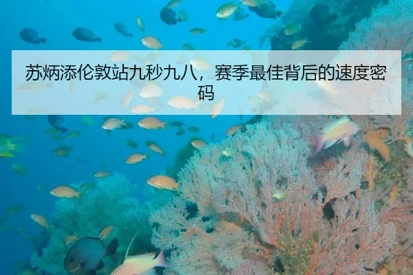 苏炳添伦敦站九秒九八，赛季最佳背后的速度密码